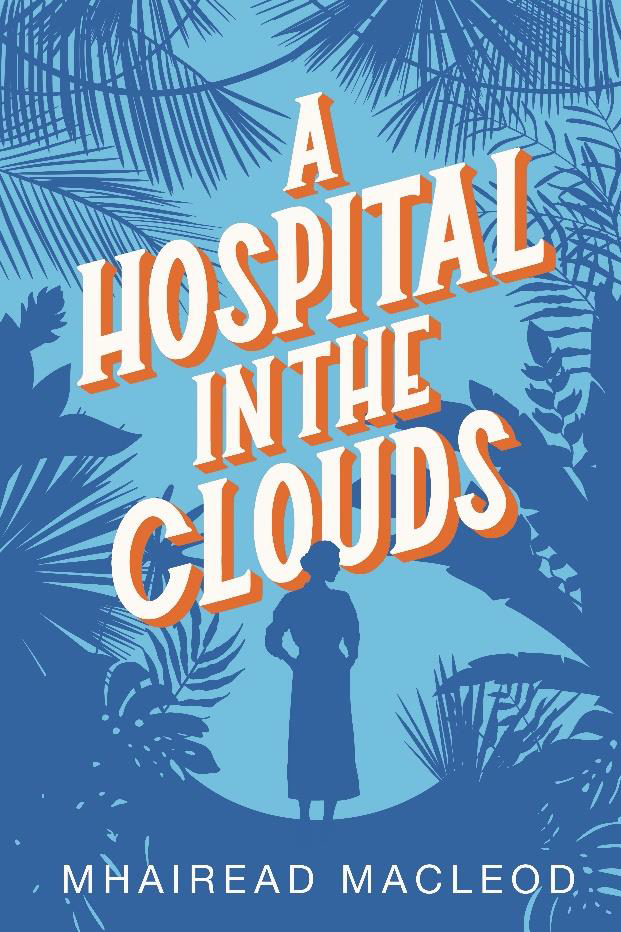 hospital in the clouds